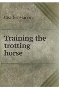 Training the Trotting Horse