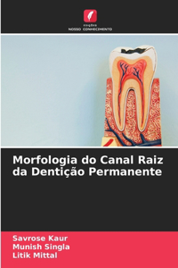 Morfologia do Canal Raiz da Dentição Permanente