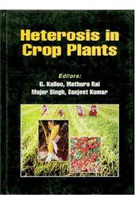Heterosis In Crop Plants
