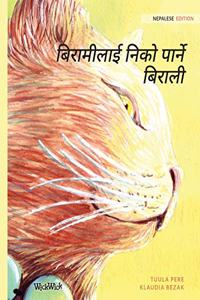 बिरामीलाई निको पार्ने बिराली