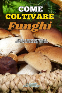 Come Coltivare Funghi