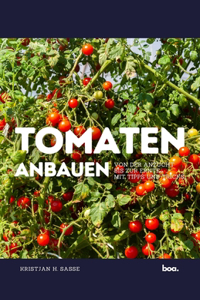 Tomaten anbauen
