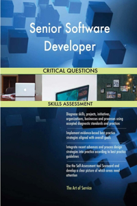 Senior Software Developer Critical Questions Skills Assessment
