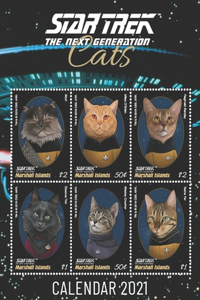 Star Trek Cat