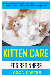 Kitten Care for Beginners