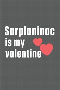 Sarplaninac is my valentine