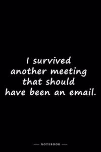 I survived another meeting that should have been an email.