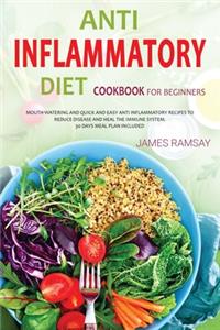 Anti Inflammatory Diet for Beginners