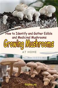 Growing Mushrooms at Home