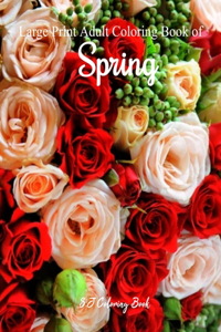 Large Print Adult Coloring Book of Spring