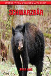 Schwarzbär