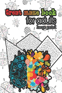Great mazes book for adults - large print