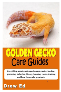 Golden Gecko Care Guides