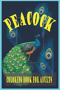 Peacock coloring book for adults