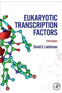 Eukaryotic Transcription Factors