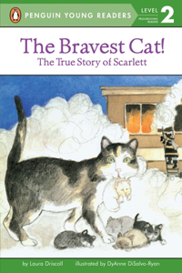 Bravest Cat!