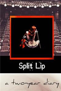 A Two-Year Diary: Selected Works from Split Lip Magazine: Selected Works from Split Lip Magazine