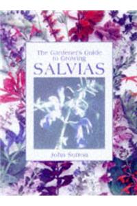 Gardener's Guide to Growing Salvias