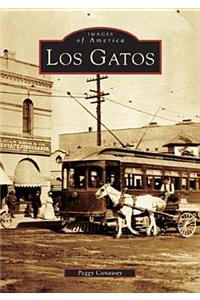 Los Gatos