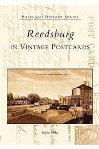 Reedsburg in Vintage Postcards