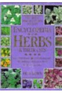 Encyclopedia of Herbs & Their Uses