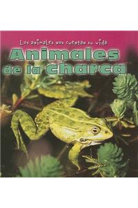 Animales de la Charca (Animals at the Pond)
