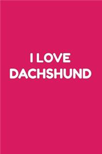 I love Dachshund