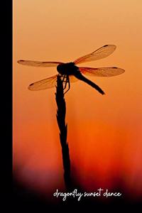 dragonfly sunset dance