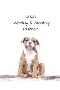 2020 Weekly Monthly Planner