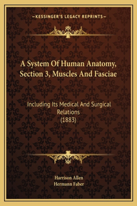 A System of Human Anatomy, Section 3, Muscles and Fasciae