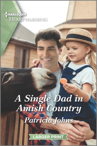 Single Dad in Amish Country