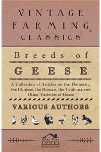 Breeds of Geese - A Collection of Articles on The Domestic, The Chinese, The Roman, The Toulouse and Other Varieties of Geese