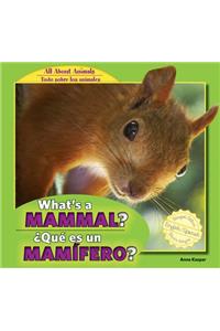 What's a Mammal? / ¿Qué Es Un Mamífero?