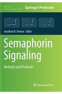 Semaphorin Signaling
