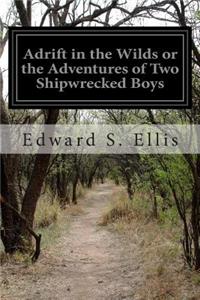 Adrift in the Wilds or the Adventures of Two Shipwrecked Boys