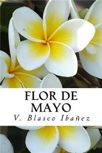 Flor de Mayo