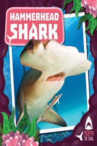 Hammerhead Shark