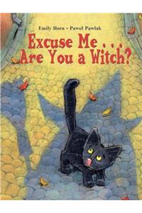 Excuse Me. . . Are You a Witch?