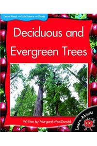 Deciduous and Evergreen Trees