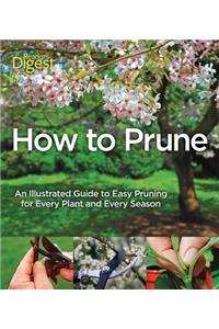 How to Prune