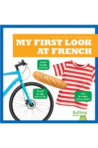 My First Look at French