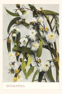 Vintage Journal Eucalyptus Blossoms pocket journal features a trav