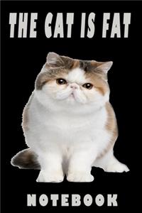 The cat is fat, NOTEBOOK
