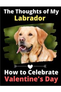Thoughts of My Labrador