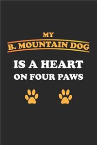 My B. Mountain Dog is a heart on four paws