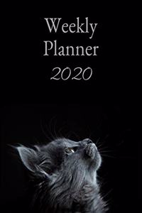 Weekly Planner 2020