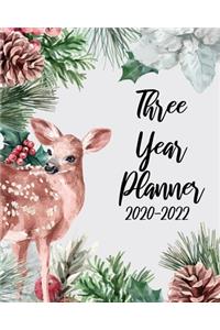 Three Year Planner 2020-2022