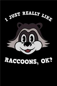 I Just Really Like Raccoons Ok