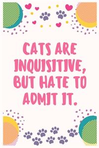 Cats are inquisitive, but hate to admit it