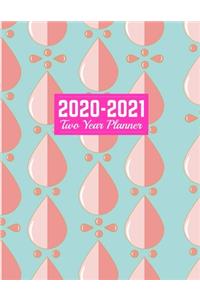 2020-2021 Two Year Planner: Handy 24-Months Calendar, 2-Year Appointment Business Planners, Agenda Schedule Organizer Logbook and Journal - Art Cover 00023189